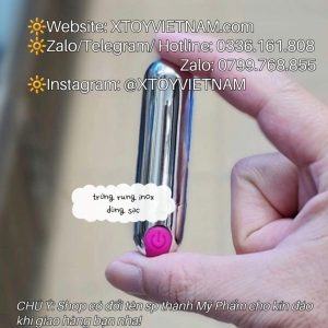 Alternative view of [MÃ 081] ĐẠN INOX