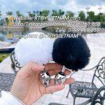 [ MÃ 156] ĐUÔI THỎ