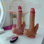 [MÃ 251] DƯƠNG VẬT GẮN TƯỜNG RUNG THỤT TỎA NHIỆT ĐIỀU KHIỂN TỪ XA