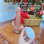 [ MÃ 277] DƯƠNG VẬT ĐIỀU KHIỂN TỪ XA RUNG THỤT GẮN TƯỜNG