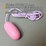 [MÃ 267] TRỨNG USB