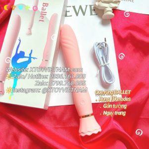 [MÃ 272] QUE RUNG BALET GẮN TƯỜNG