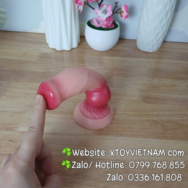 [Mã 245] Dương Vật Gắn Tường Mỏ Gà - Ảnh 3