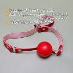 [MÃ 291] Khóa miệng BDSM