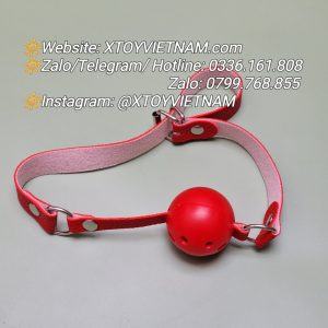 [MÃ 291] Khóa miệng BDSM