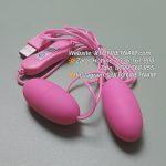 [MÃ 313] TRỨNG RUNG USB 2 QUẢ