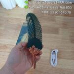 [Mã 437] Trứng Rung Nguỵ Trang Lông Vũ